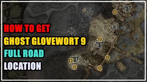 Jan 14, 2023 Ghost Glovewort 5 Locations in Elden Ring. . Ghost glovewort 9